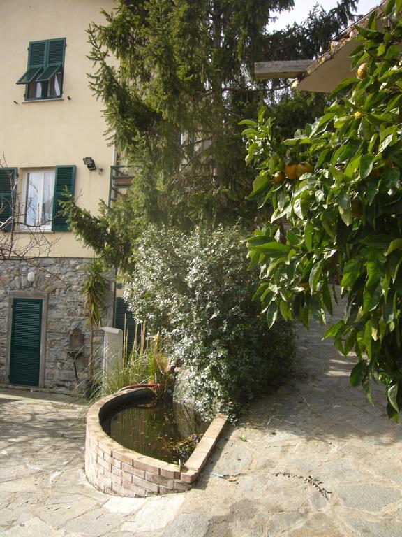 Leivi Agriturismo Olivarancio מראה חיצוני תמונה